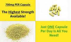 Approved Nutrition High-Strength Pure QuercetinMax (Sophora Japonica) (1 Bottle (60 Capsules))