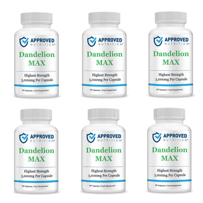 Approved Nutrition DandelionMax 10:1 Extract (5g Per Capsule) (5 bottles - Get 1 Free (6 total))