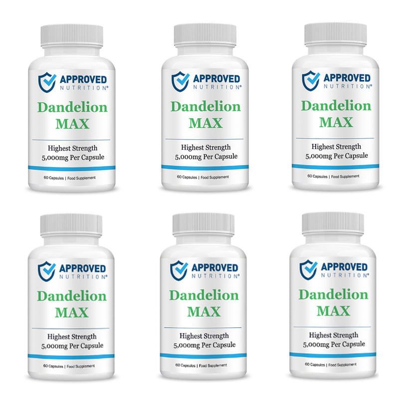 Approved Nutrition DandelionMax 10:1 Extract (5g Per Capsule) (5 bottles - Get 1 Free (6 total))