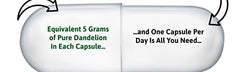 Approved Nutrition DandelionMax 10:1 Extract (5g Per Capsule) (1 Bottle (60 Capsules))