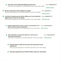 Dog Joint Support Max - Vet-Approved - Ideal For Older Dogs With Joint Problems